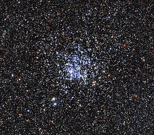M11