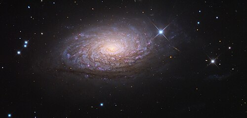M63