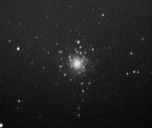 M79