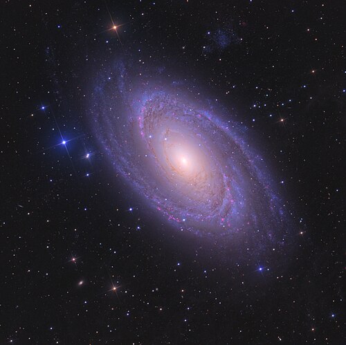M81