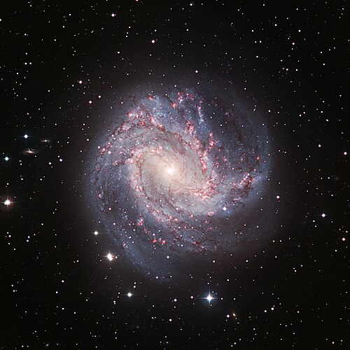 M83