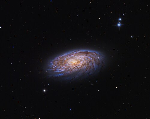 M88