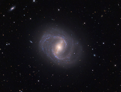M91