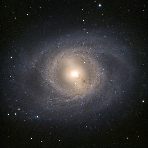 M95